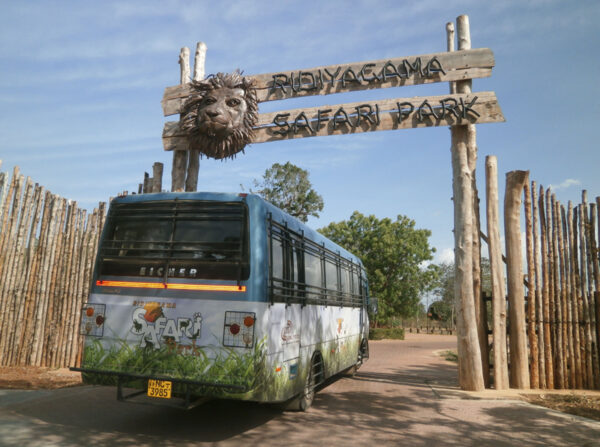 Safari Tours & Visitors