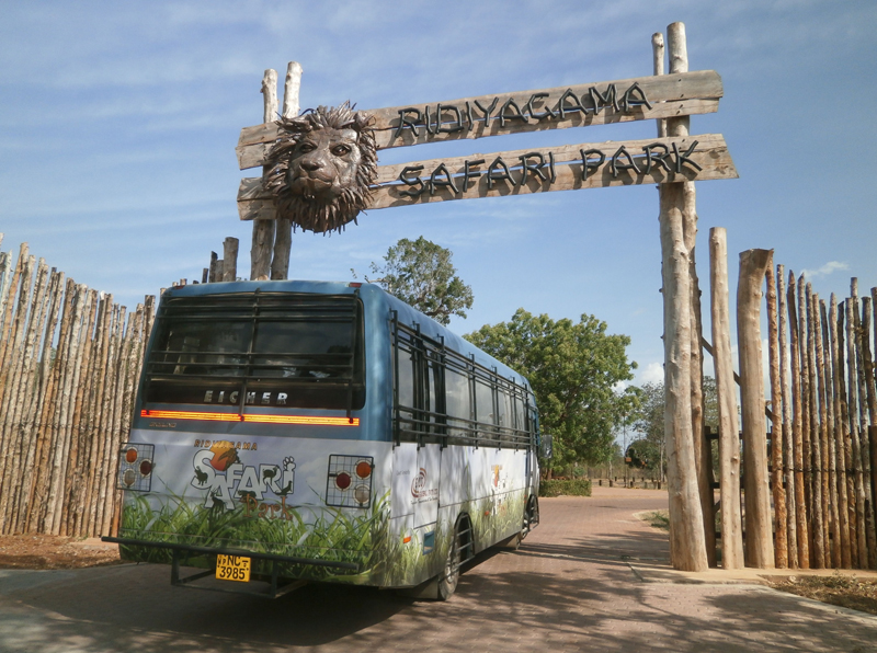 Safari Tours & Visitors