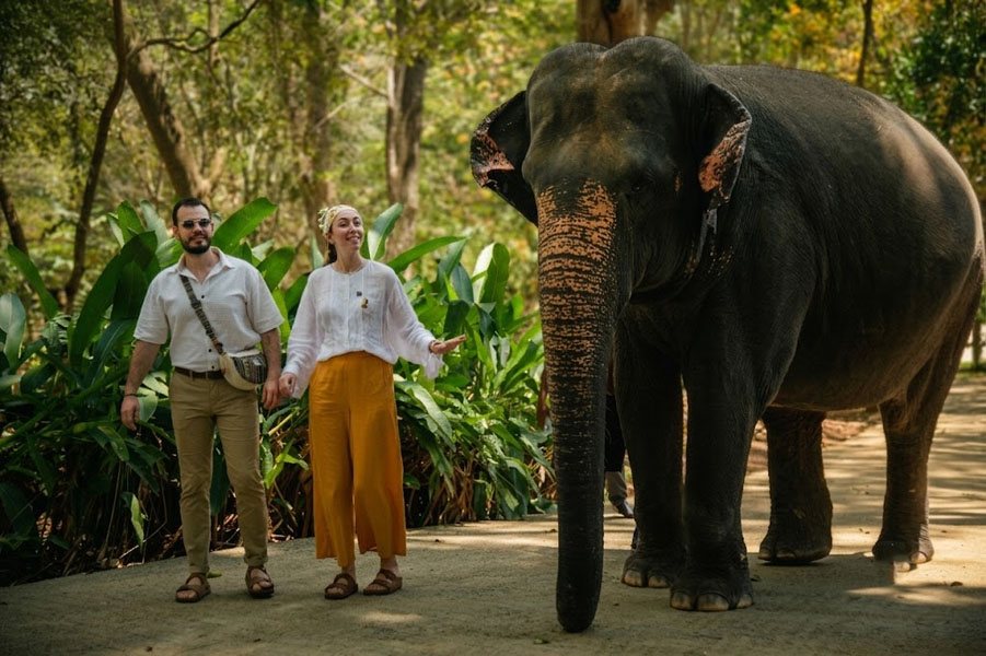 Pinnawala Elephant Orphanage-1