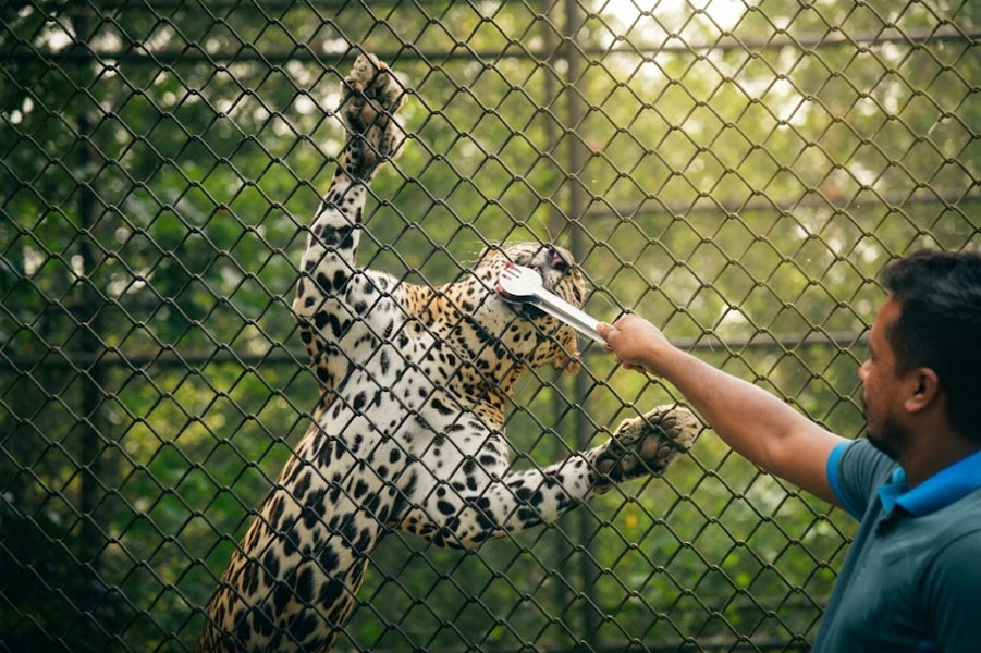 Pinnawala Zoo-14